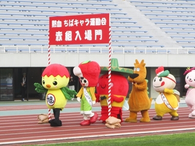 熱血ちばキャラ運動会収録の画像