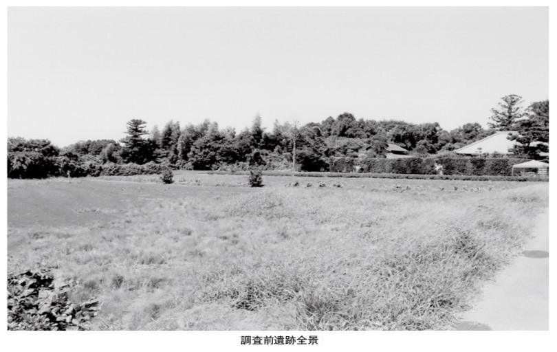 調査前遺跡全景