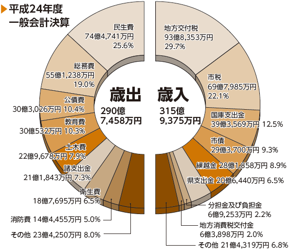 歳入歳出の内訳（円グラフ）