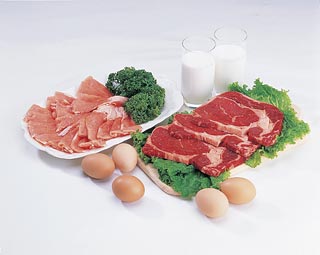 肉・卵・乳製品の画像