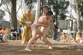 黒虎相撲の画像