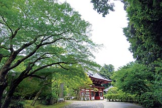 龍福寺の画像