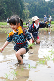 幽学の里で米作り交流の画像