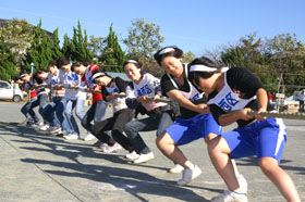 明るく力強く　干潟地区体育祭の画像