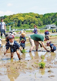 広報あさひ No.335