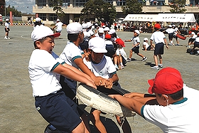 (9月15日　琴田小学校）の画像