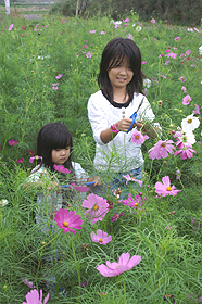 (10月8日　蛇園（出清水地区））の画像