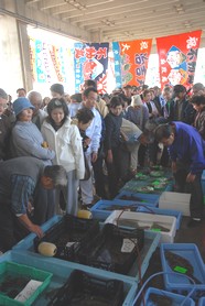 (11月4日　海匝漁協市場）の画像