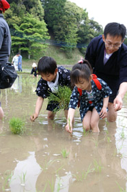 （5月5日　長部）の画像