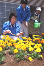 色鮮やかな花が駅に彩りの画像