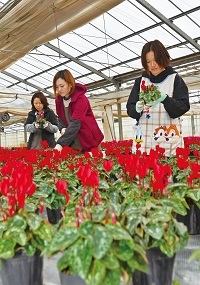 広報あさひ　No.371