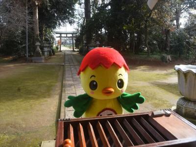 神社でお参りをするあさピー