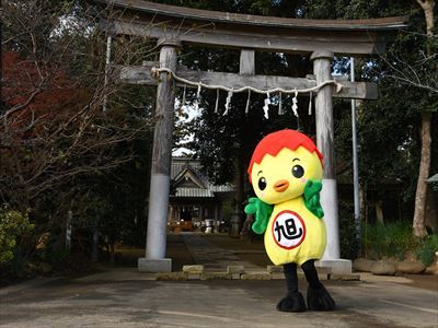 鳥居の前でポーズをとるあさピー