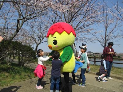 桜の下子どもたちと戯れるあさピー