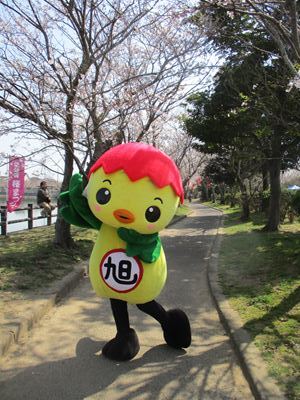 桜の下のポーズをとるあさピー