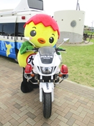 白バイとあさピー