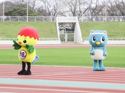 八街市のやっちと競走に臨むあさピー