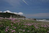 屛風ヶ浦写真6