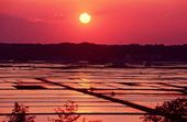 干潟八万石写真2