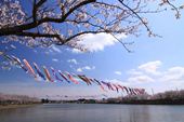 袋公園・川口沼親水公園写真3