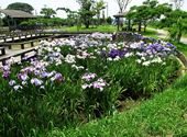袋公園・川口沼親水公園写真4