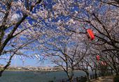 袋公園・川口沼親水公園写真5