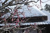 大原幽学遺跡史跡公園・大原幽学記念館写真1