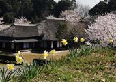 大原幽学遺跡史跡公園・大原幽学記念館写真6