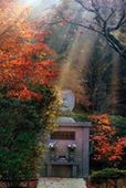 神社仏閣写真1