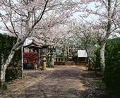 神社仏閣写真7