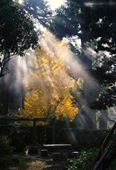 神社仏閣写真8