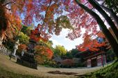 神社仏閣写真9
