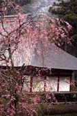 神社仏閣写真13