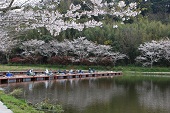 その他風景写真6