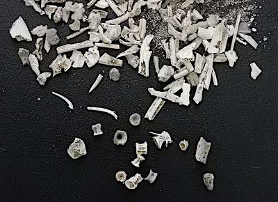 白骨