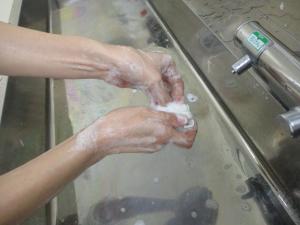 爪ブラシを使う様子