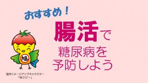 腸活で糖尿病予防をしようのサムネイル画像