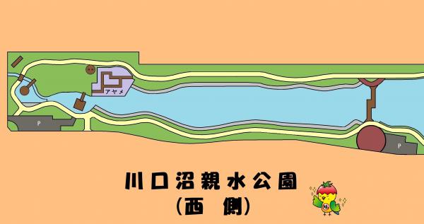 川口沼親水公園西側平面図