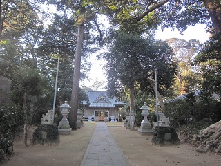 雷神社の森