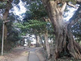 天神様の森