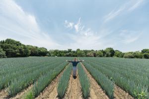 株式会社石橋農園
