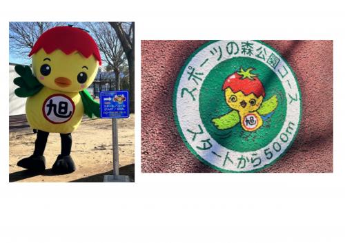 スポーツの森公園コース