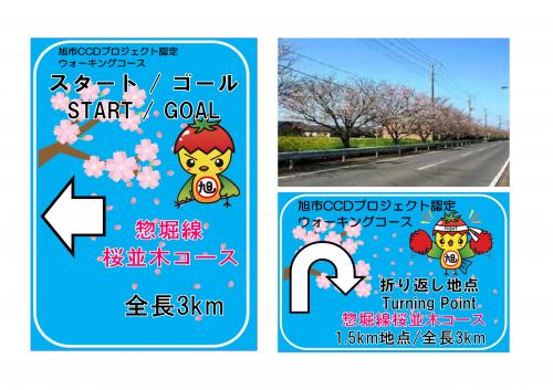 惣堀線桜並木コース